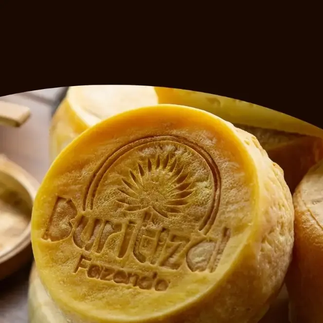 Queijo Cerrado