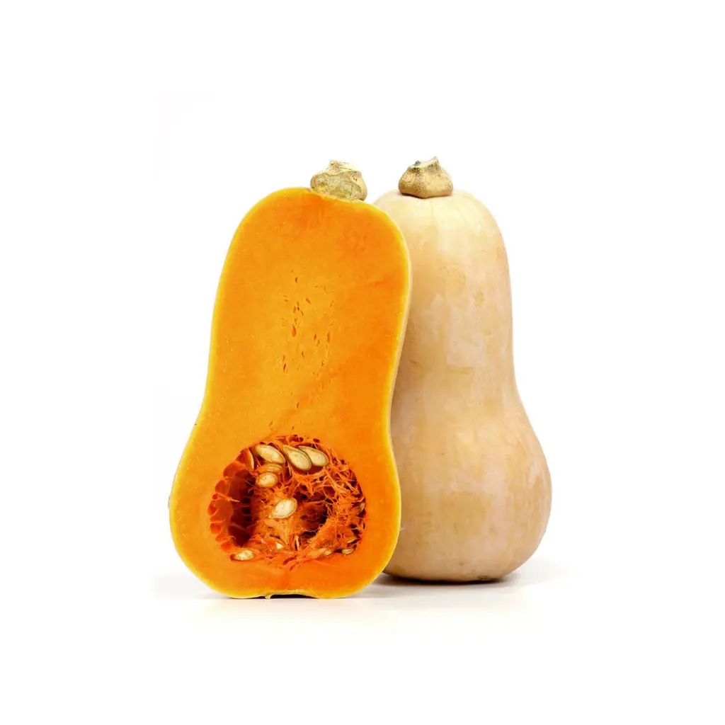 Abóbora Manteiga (Butternut) Orgânica - 1 kg
