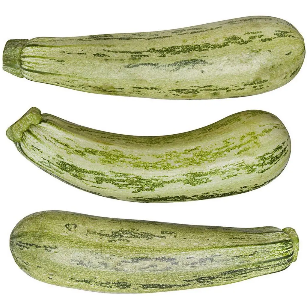 Abobrinha Italiana Orgânica (600g)