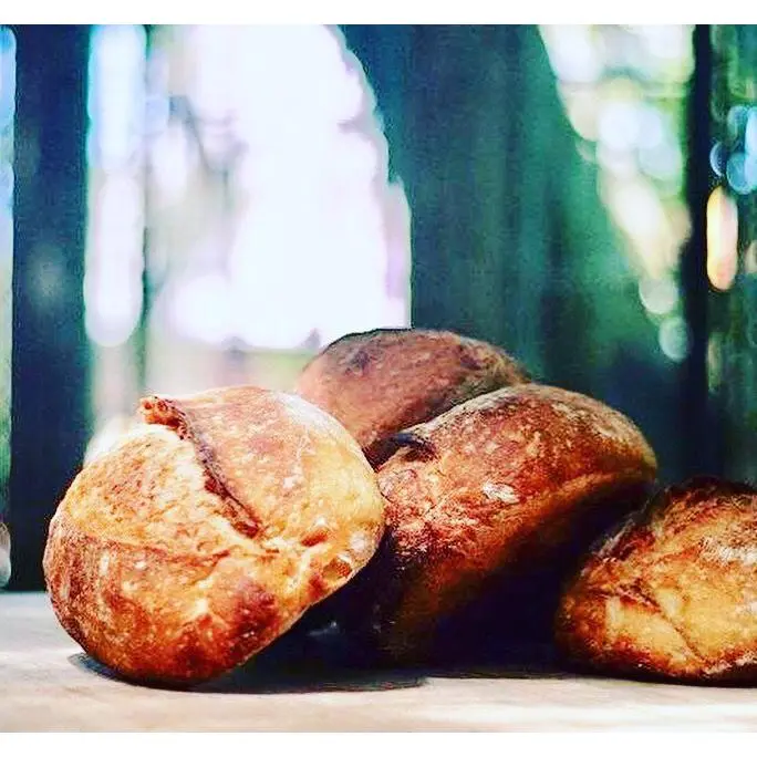 Pão de Fermentação Natural Fatiado Orgânico 600g - Tartaruga