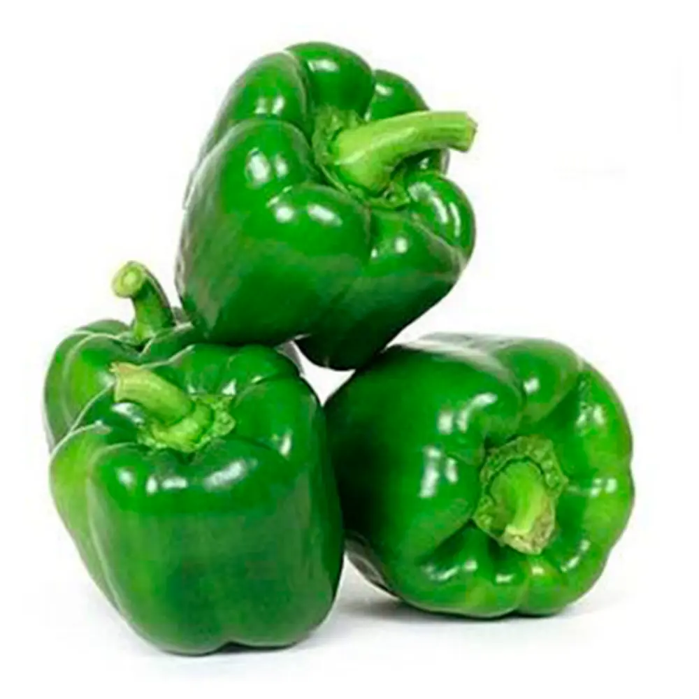 Pimentão Verde Orgânico - 500g