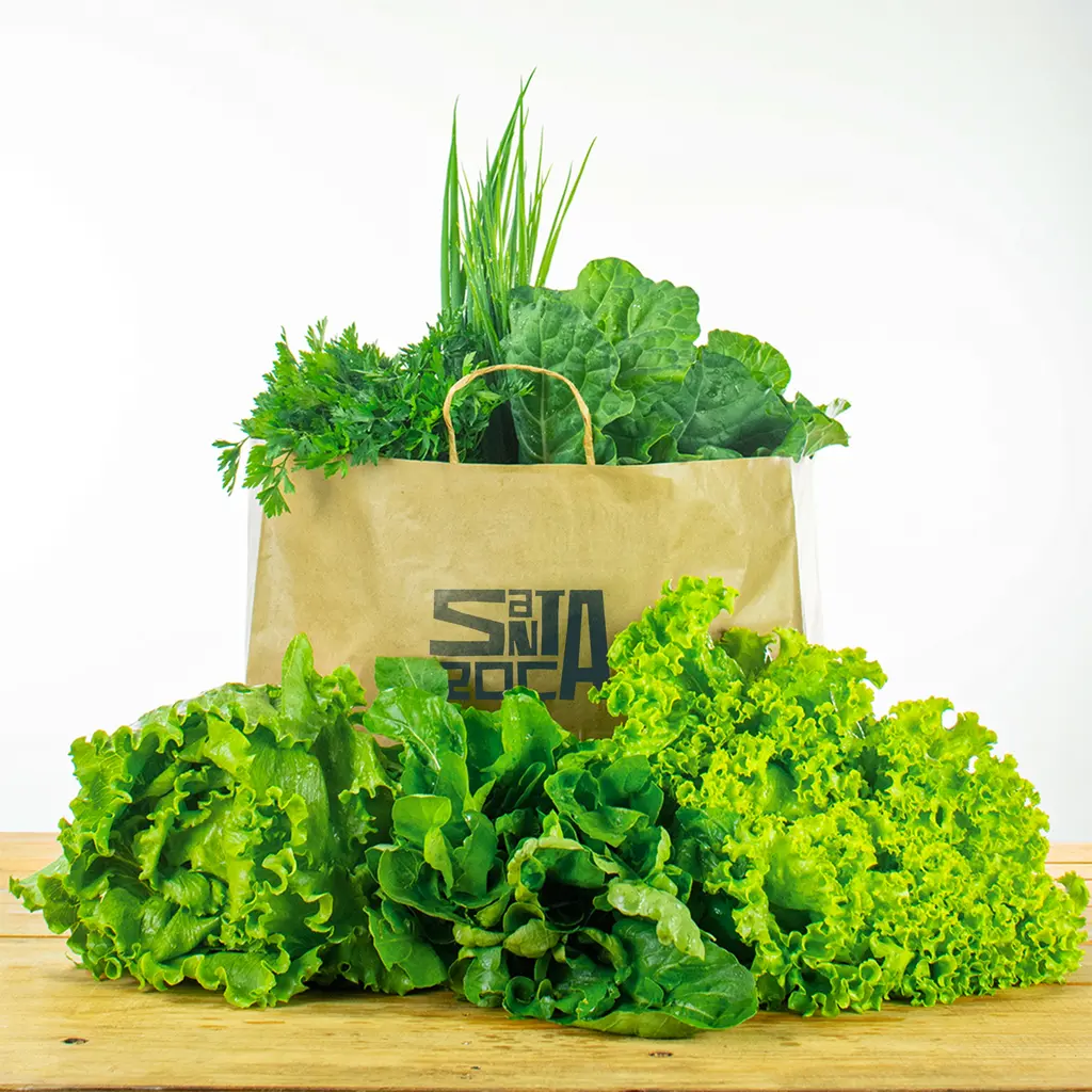 Cesta Essencial Agroecológica