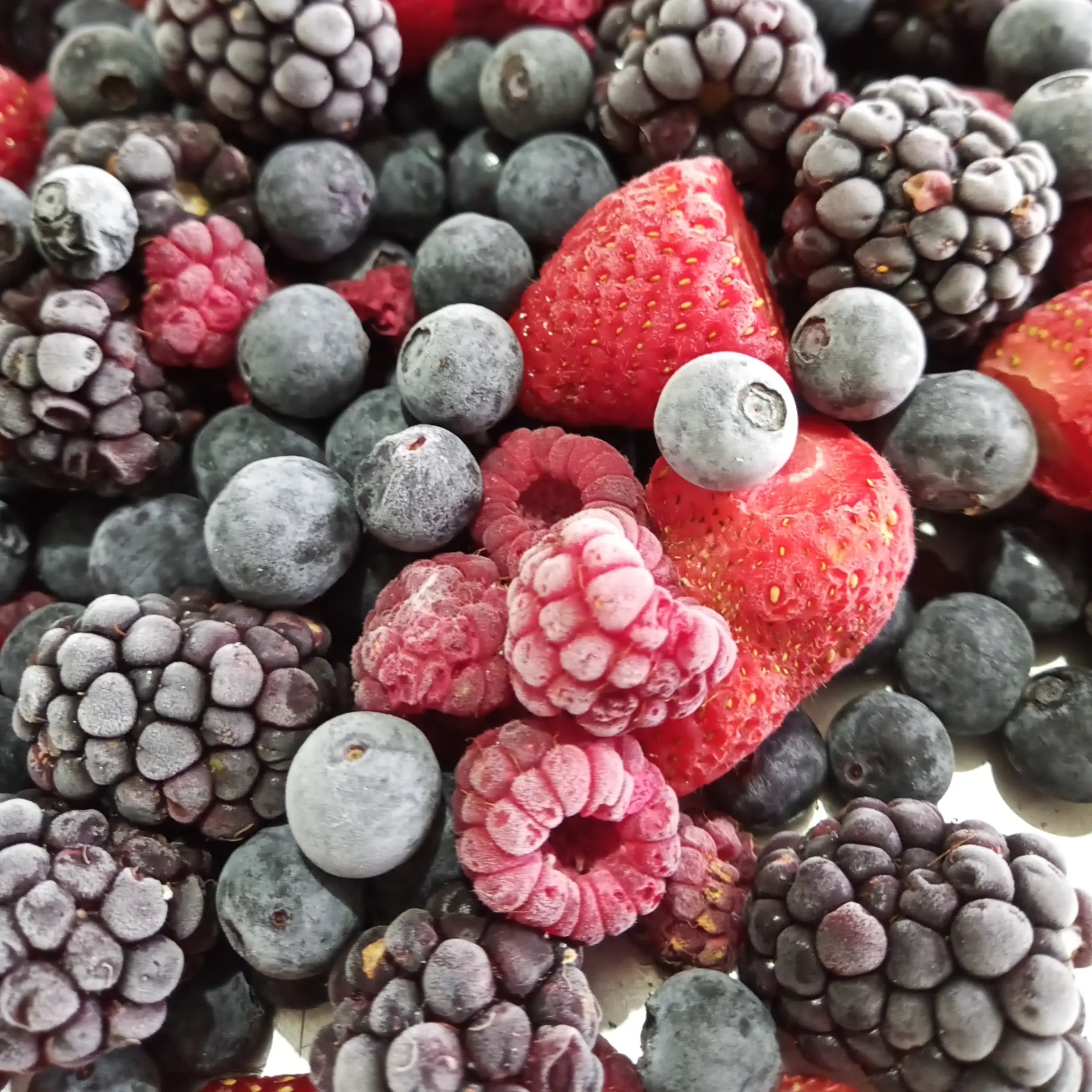 Mix frutas vermelhas congeladas 1 kg