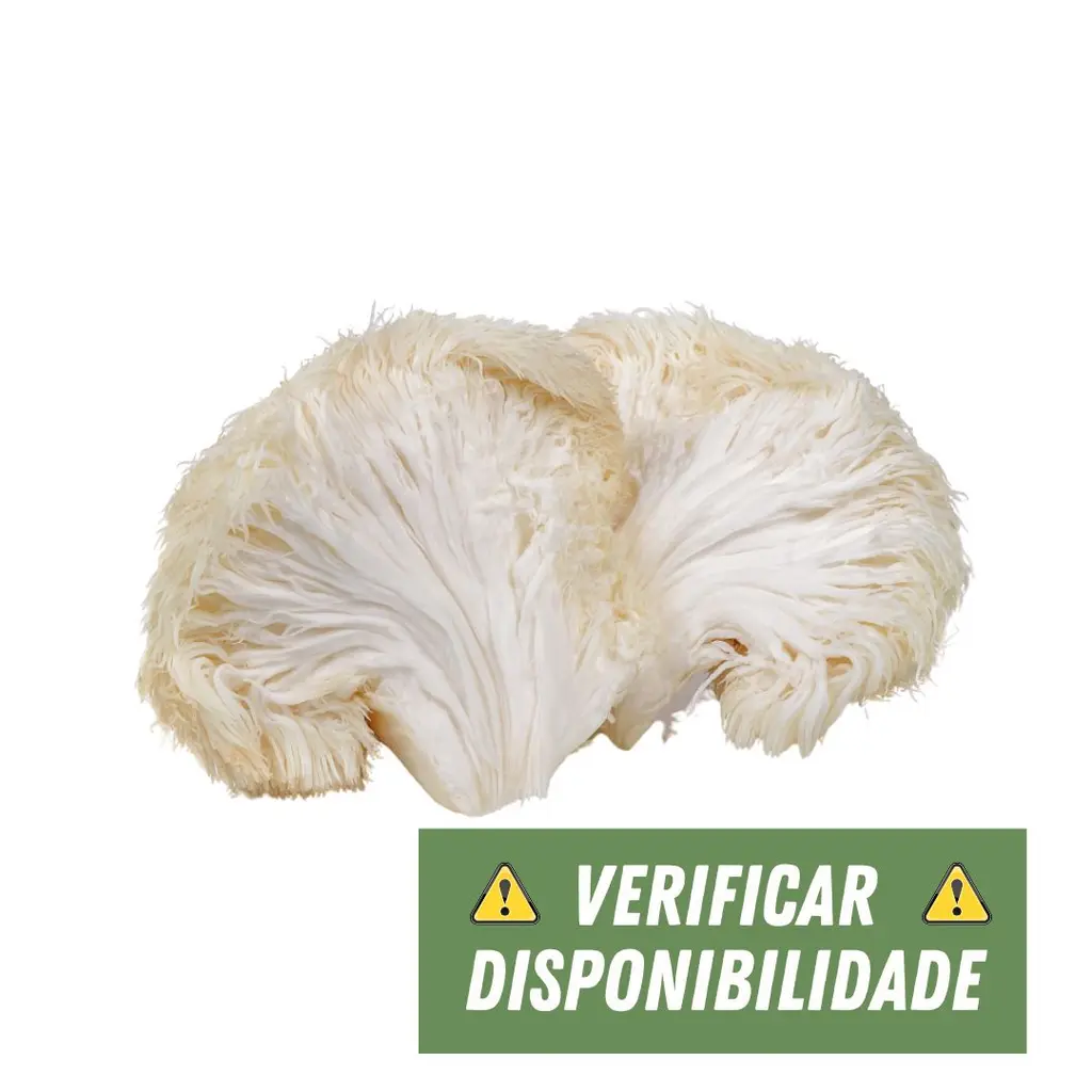 Cogumelo Juba de Leão 100g