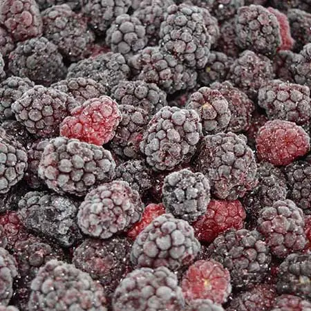 Amora Congelada 500g