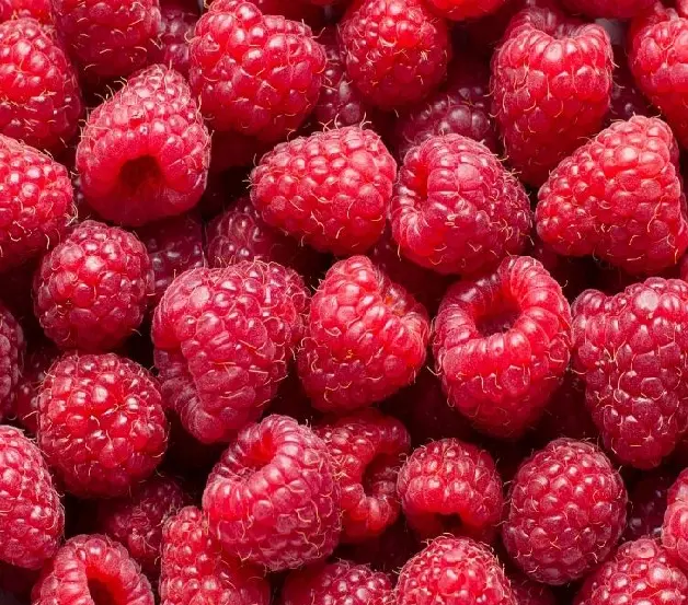 framboesa vermelha ou amarela /bdj 180g